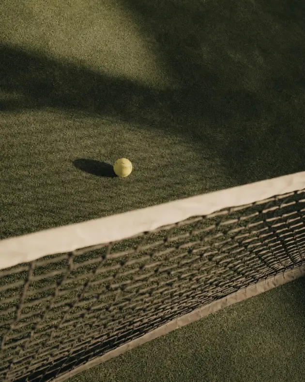 Ball resting by the net on the turf